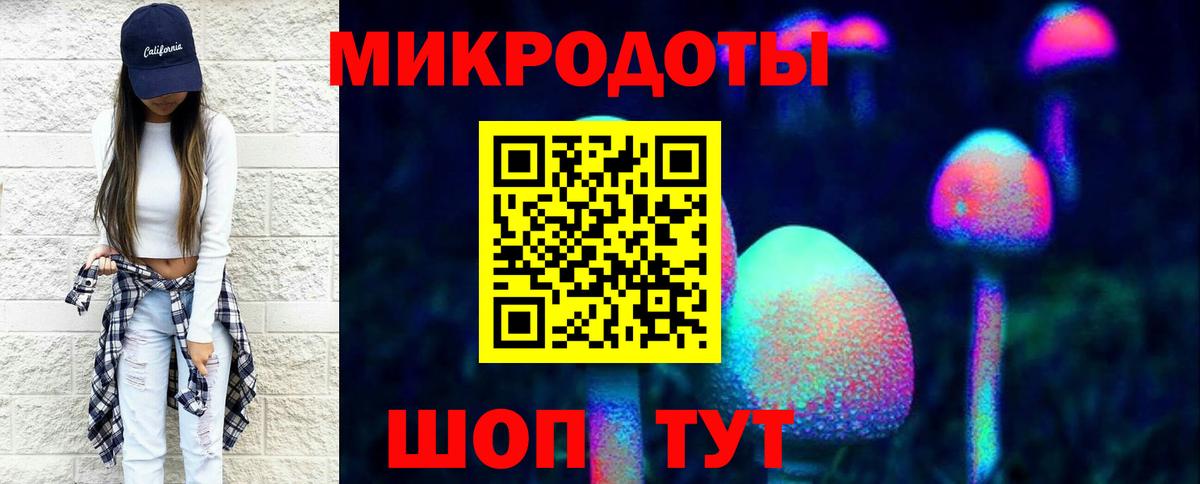 Псилоцибиновые грибы Psilocybe Нововоронеж