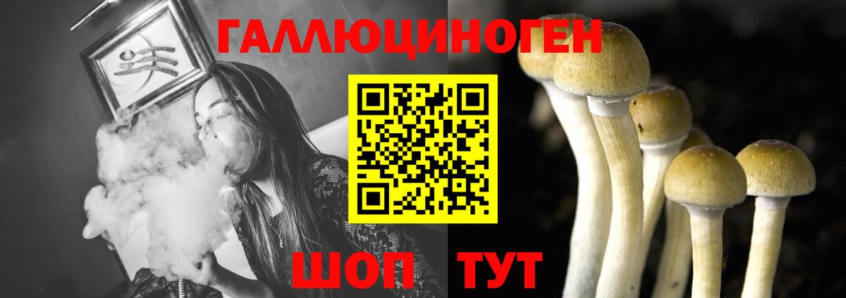 Нововоронеж  Галлюциногенные грибы Cubensis  Вход с VPN 